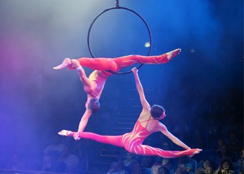 Aerial Hoop